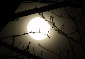 tumblr_mkl5rgvzcZ1r8073to1_500