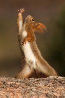 84cb3e378376727ea49e139e5d3c9c03