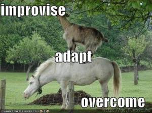 15198_10152103507581511_9105843590834605607_n