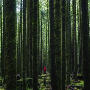 tanyachen buzzfeed original-28946-1424970066-22